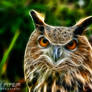 Rambo the Eagle Owl: Fractalius Re-Edit