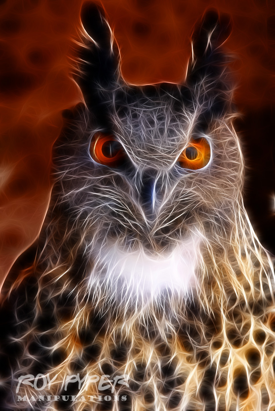 Ulysses the Owl: Fractalius Re-Edit