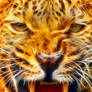 Angry Leopard: Fractalius Re-Edit