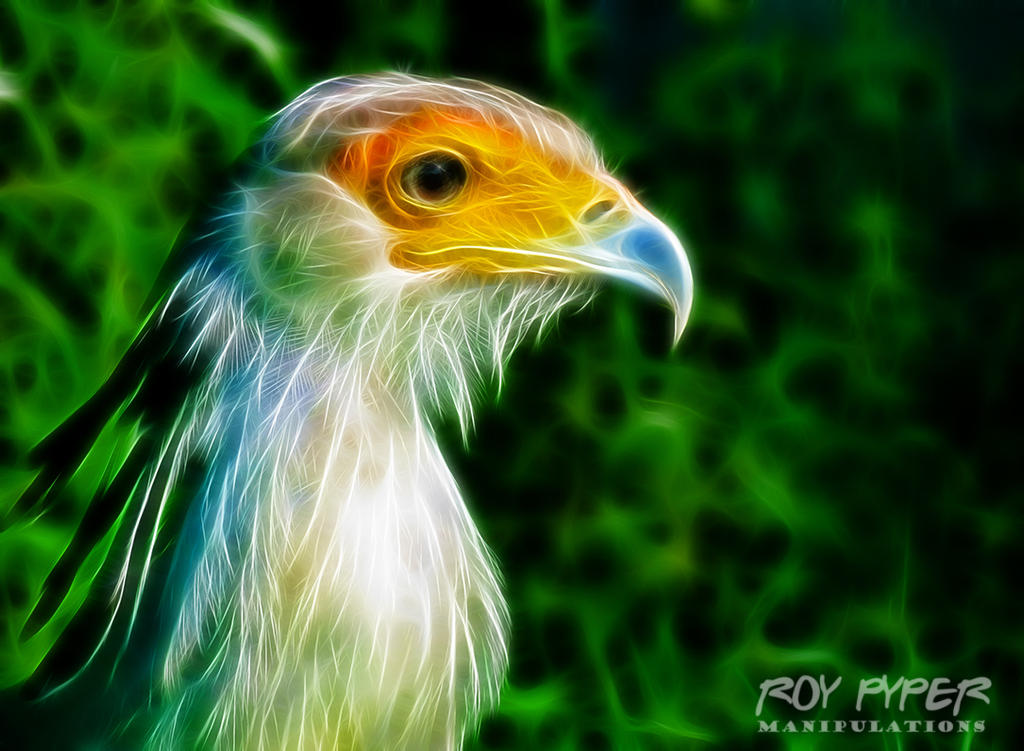 Exotic Bird: Fractalius Re-Edit