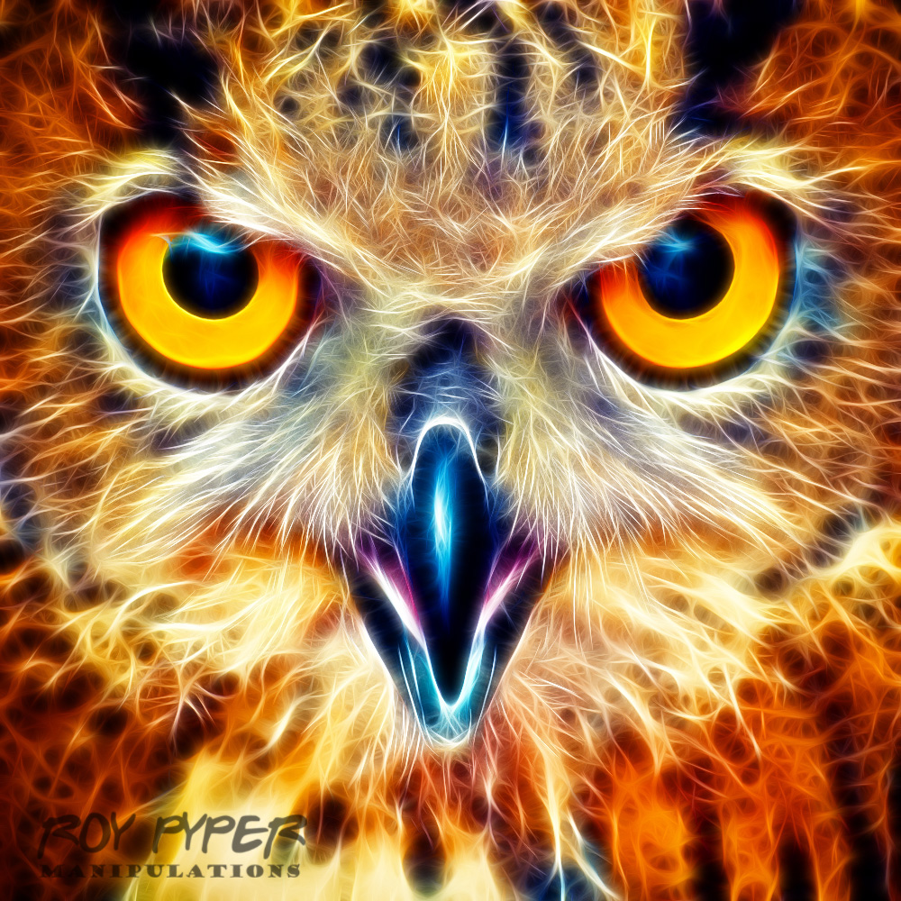 Eagle Owl Eyes: Fractalius Re-Edit