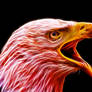 Bald Eagle: Fractalius Re-Edit (Ver.3)