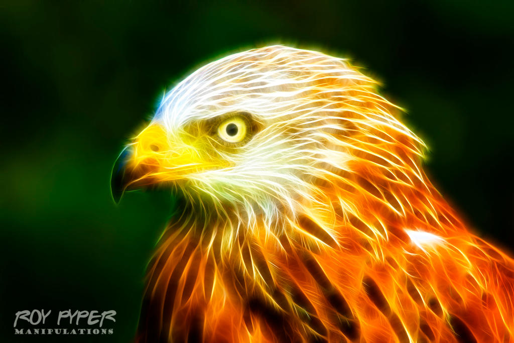 Red Kite: Fractalius Re-Edit