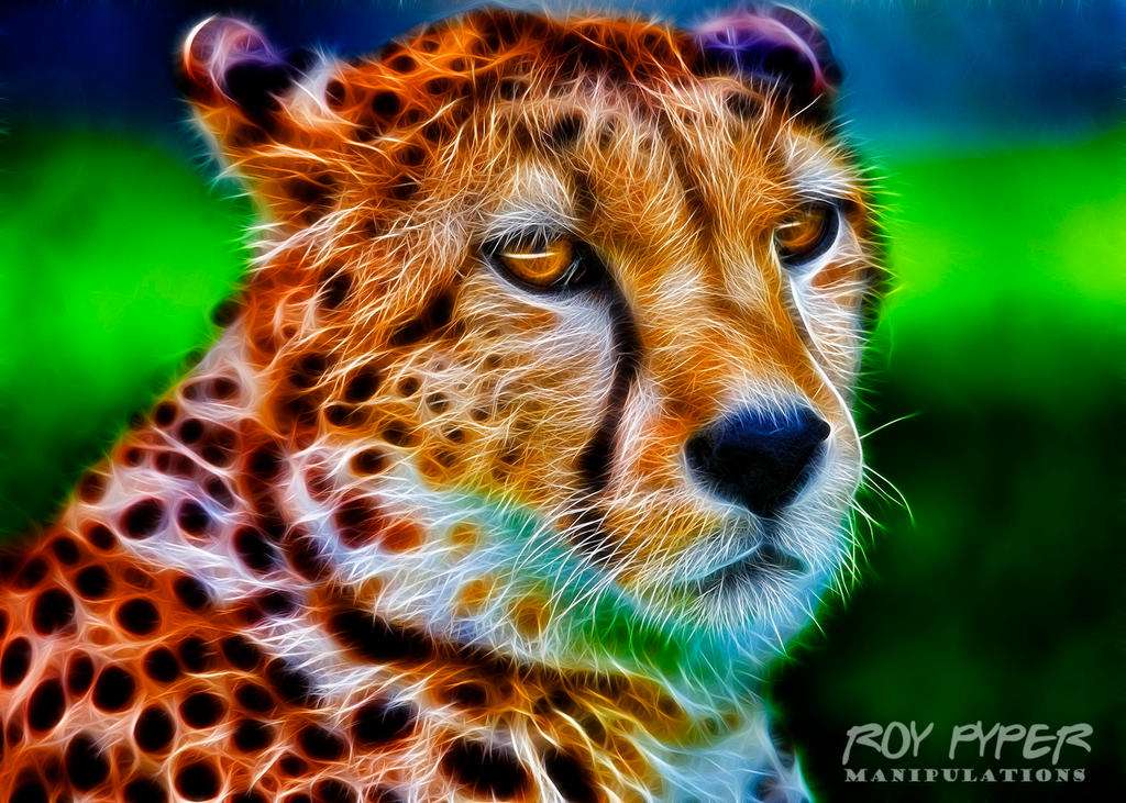 Cheetah: Fractalius Re-Edit