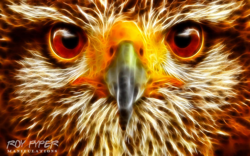 Eagle: Fractalius Re-Edit
