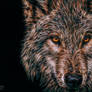 Wolf: Fractalius Wallpaper