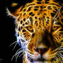 Jaguar: Fractalius Wallpaper