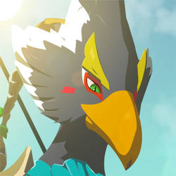 Revali, Champion of the Rito