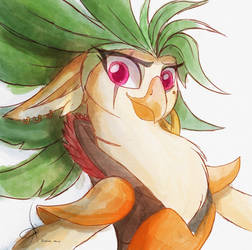 Celaeno watercolor