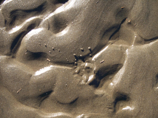 texture 76
