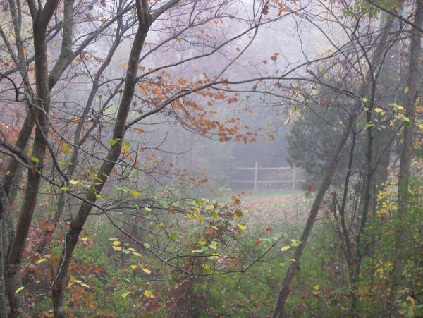 Beyond the Fence