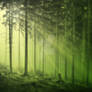Enchanted Forest Pre-Made Background