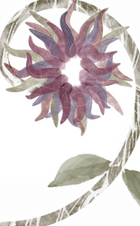 Tentacle Flower