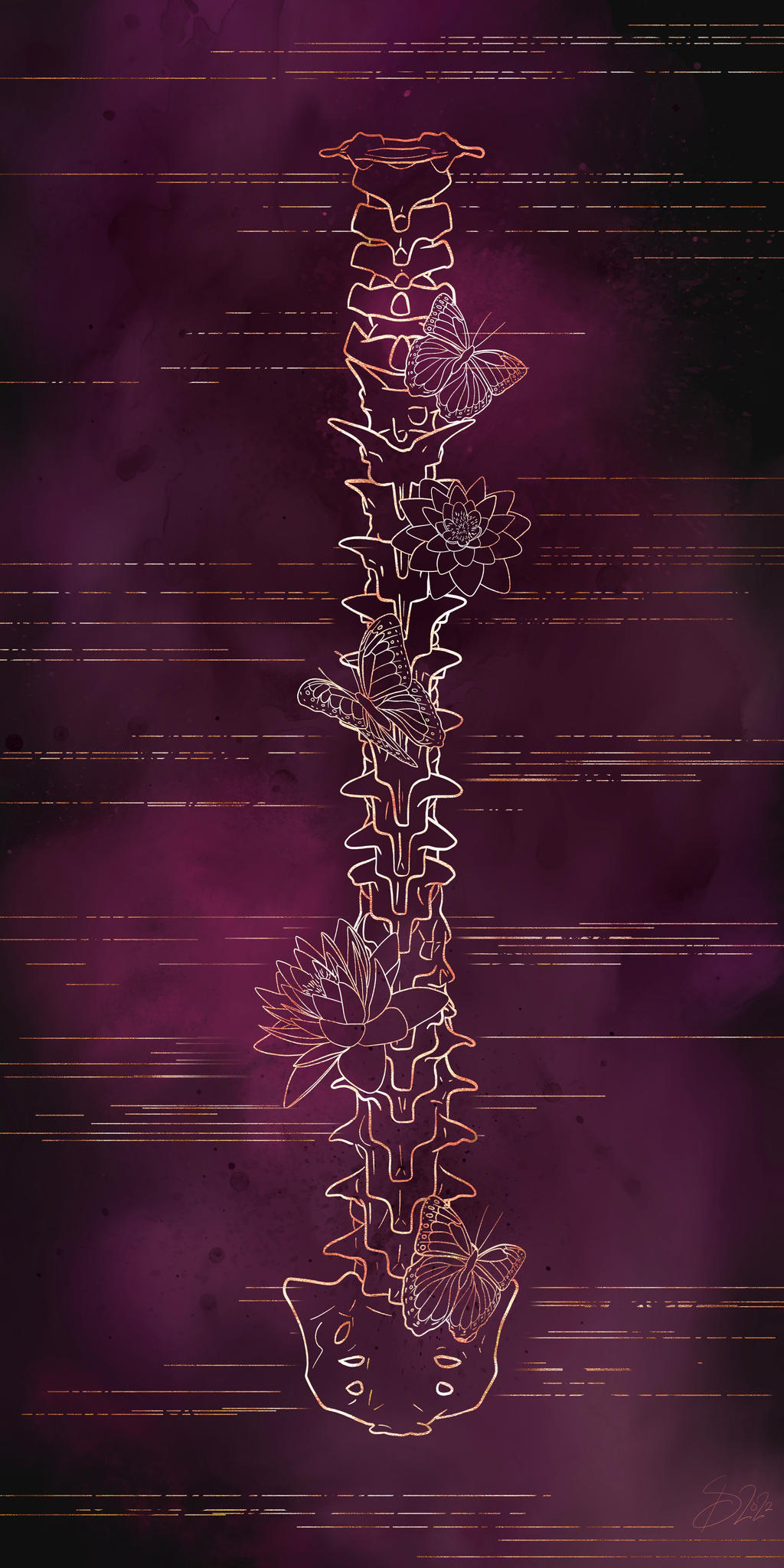 backbone by SDArtandDesign on DeviantArt