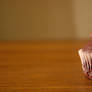 Chocolate Fudge Cupcake