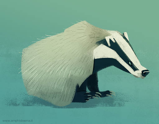 badger