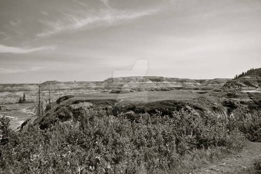 Badland Cliff Black and White IV