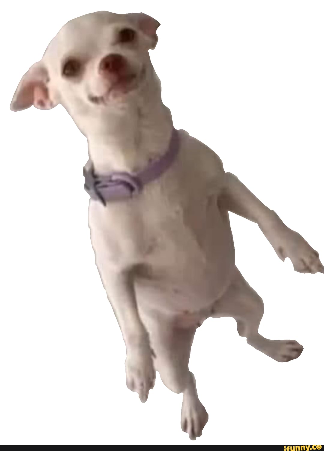 You? It walks like a man. Png Meme by Kylewithem on DeviantArt