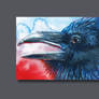 Aceo Raven