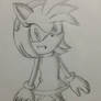 Amy Rose