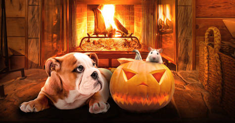 Fireside halloween with dog and mouse