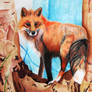 Red fox