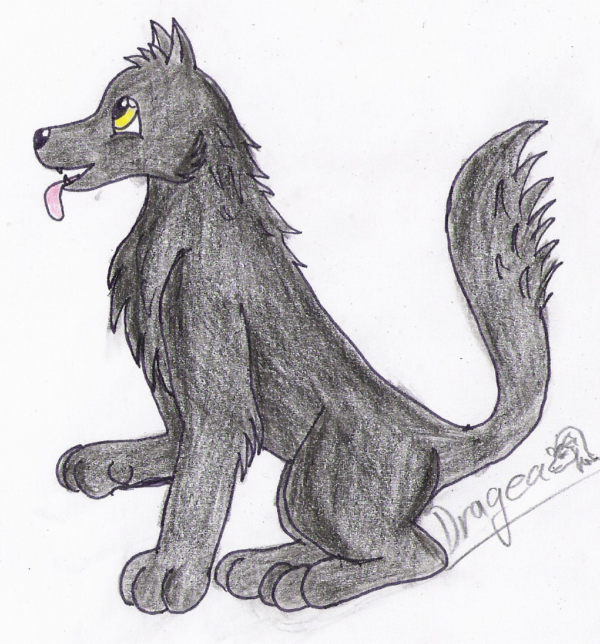 BlackWolf