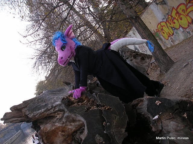 My fursuit