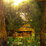 Golden Cabin Forest