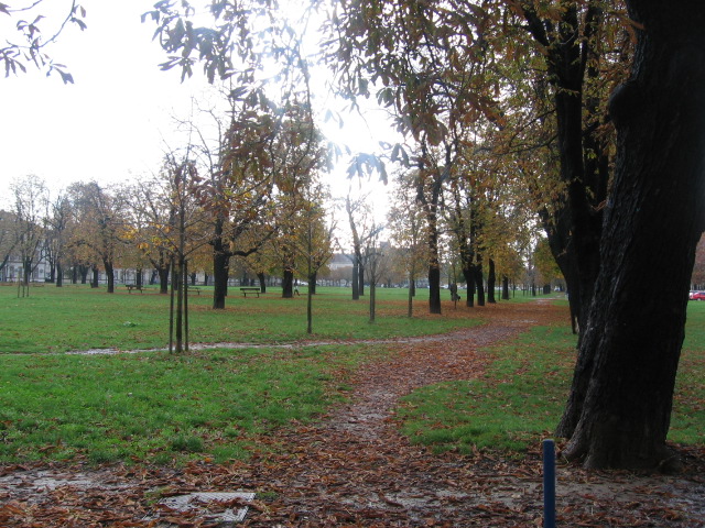 Park of leaves