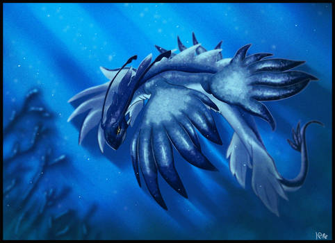 Blue Dragon (Glaucus Atlanticus)