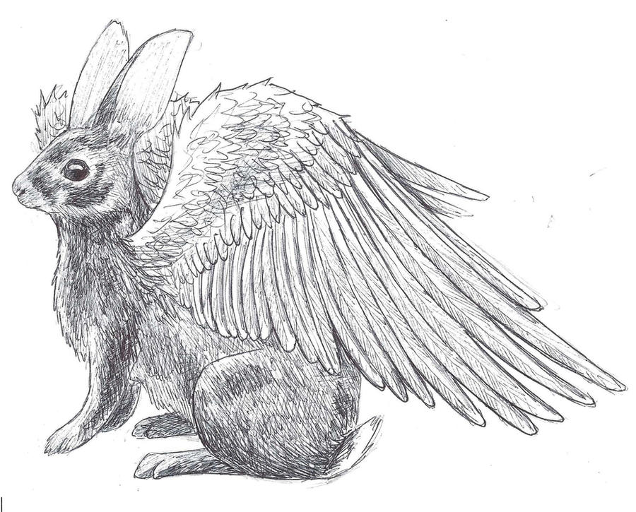 Winged Bunny by xbloodstreamx on DeviantArt