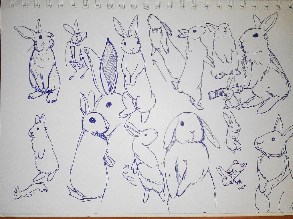 Rabbit standing poses by Hopeofnothing on DeviantArt