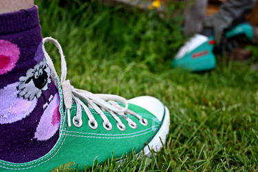 ThesheepinthegrassyConverse