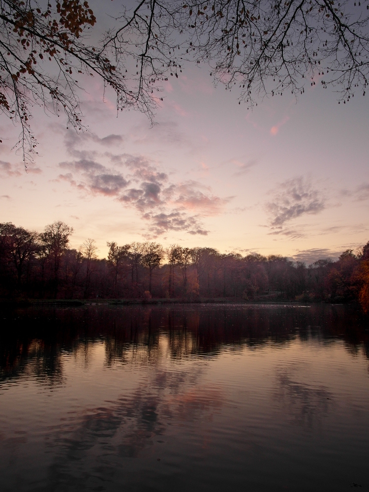 Etang de Villebon 2 - vertical