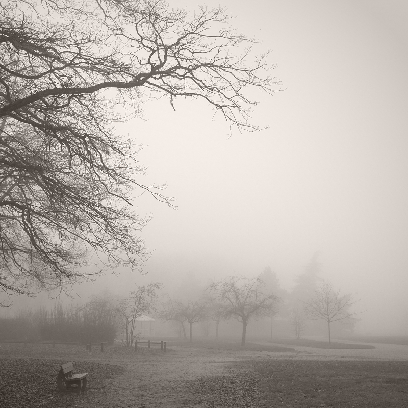 Park of Tronchet - winter