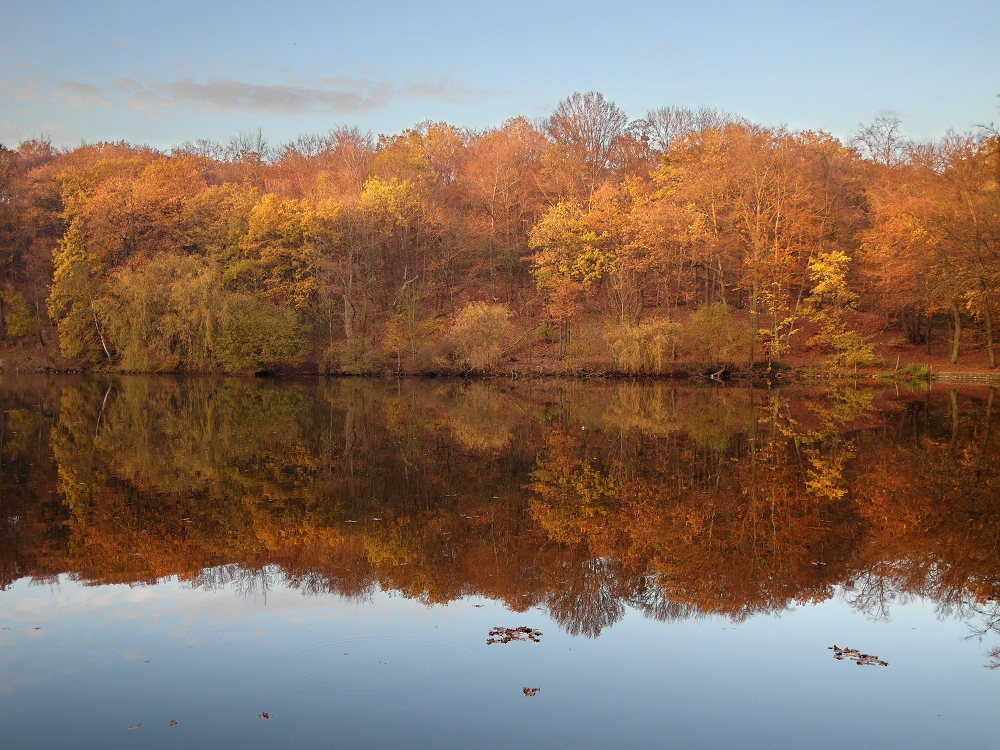 Reflect in pond of Villebon 2 - Autumn