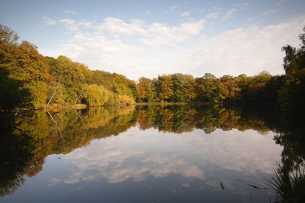 Pond of Villebon - Autumn