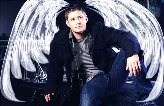 Silver-Winged Dean