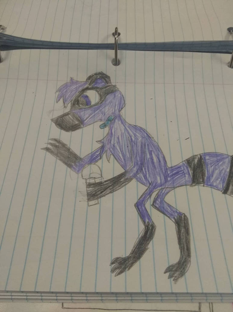 Racoon Riley Riley racoon(its a girl) by starthecometwolf on DeviantArt