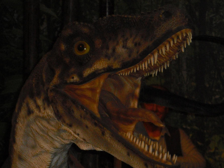 Close Up Raptors Raptor close up by Animedino1 on DeviantArt