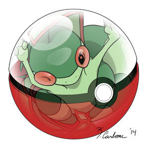 Flygon's Pokeball