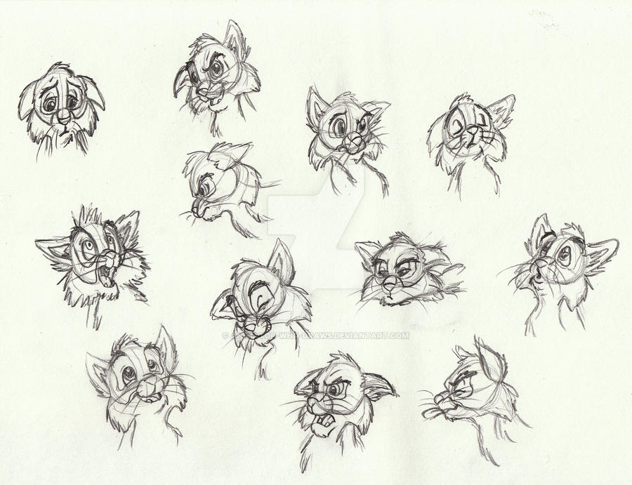 Cat Facial Expressions sketch