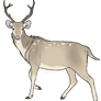 Deer Adopt