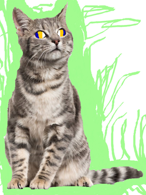 GhostAlleyCat