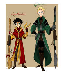 Quidditch Draco And Harry