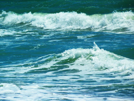 Waves~