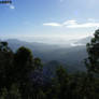 Cairns Tablelands