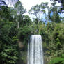 Milla Milla Falls Atherton Tablelands Cairns