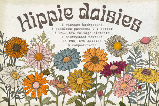 Set of SVG   PNG retro Daisies